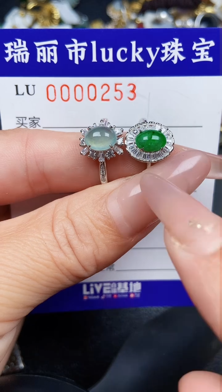 翡翠银S925镶嵌颈饰0253