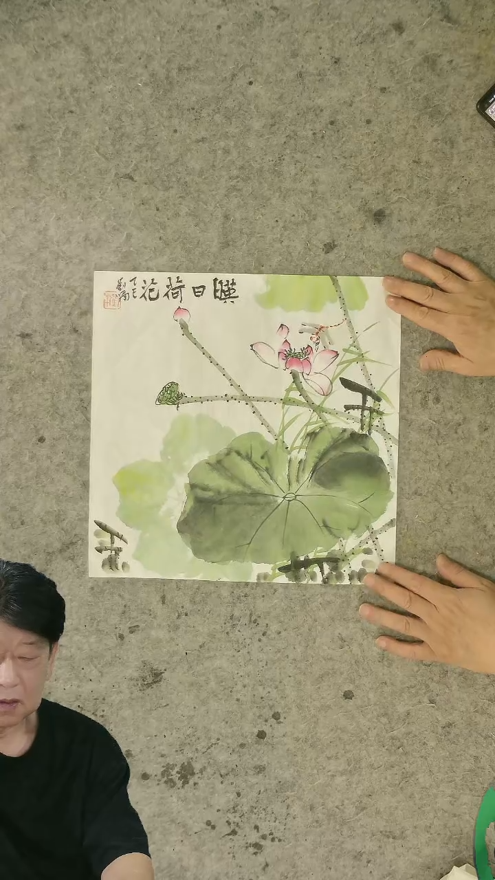 国画34*34cm    花鸟   映日荷花