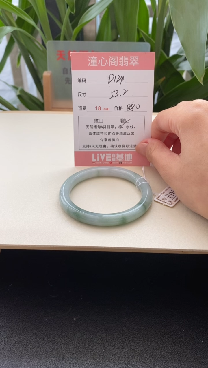 未镶嵌手镯翡翠53.5圈口编码d124