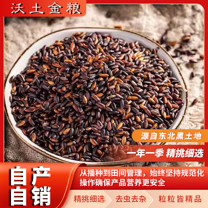 东北黑土地现磨血糯米黑糯米25年新米