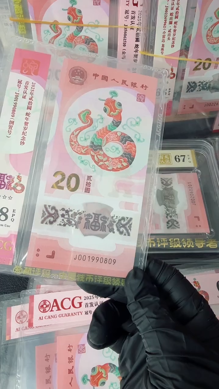 【闪购商品】2025年蛇钞单张J001990809