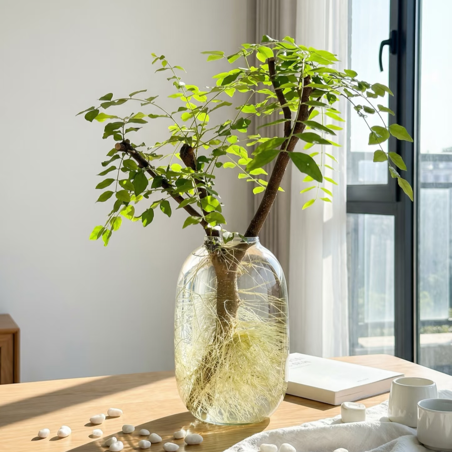 一物一拍水培小叶女贞毛叶丁香高端鲜切枝办公家居摆件