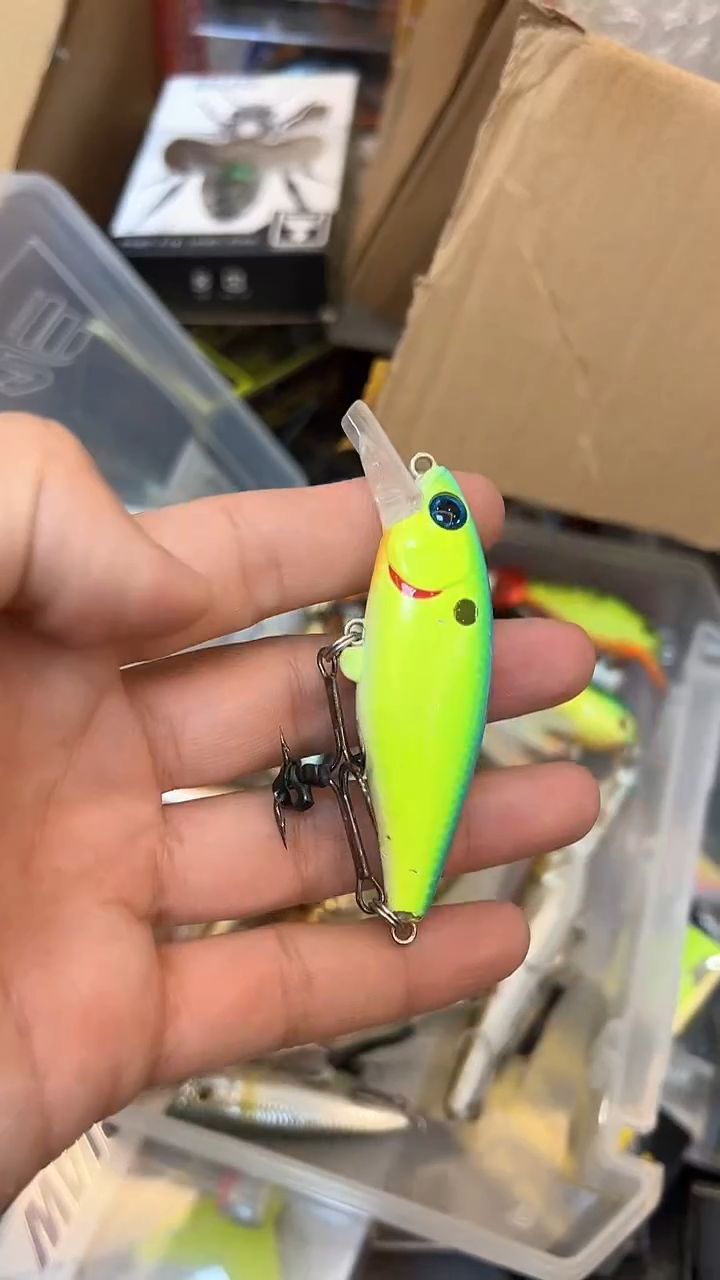 泳道路亚 闪购专拍