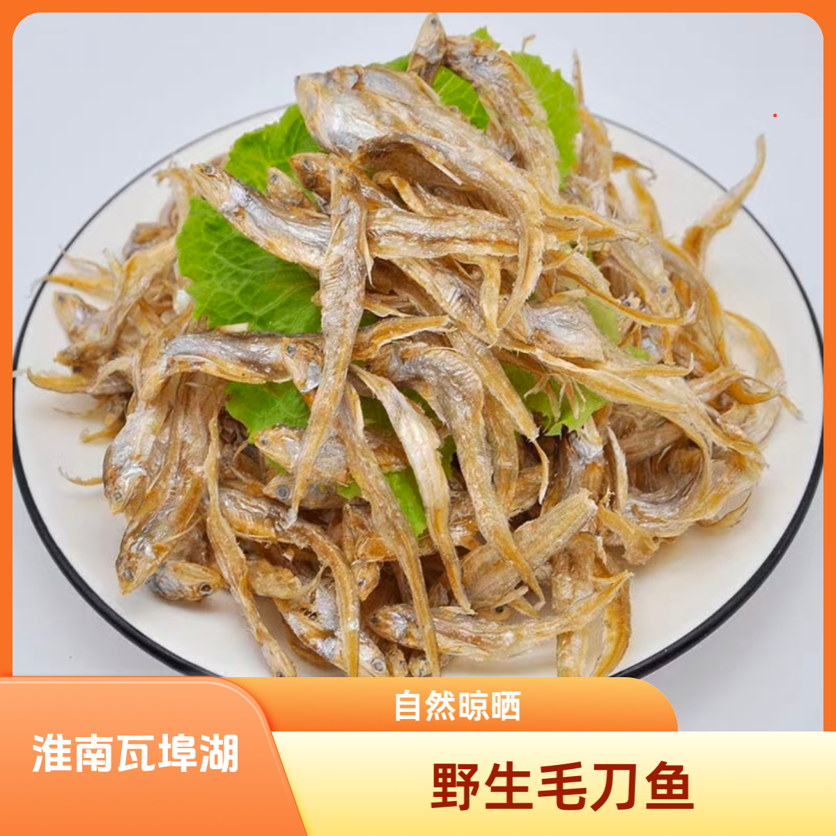 安徽特产淮南瓦埠湖野生毛刀鱼