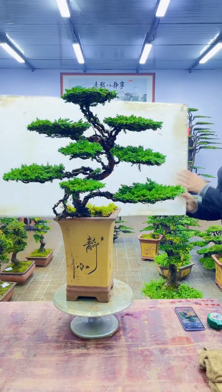 【闪购商品】一物一拍，所见即所得