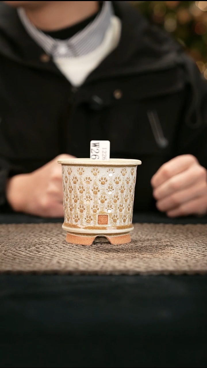 12-26-267花盆口径7