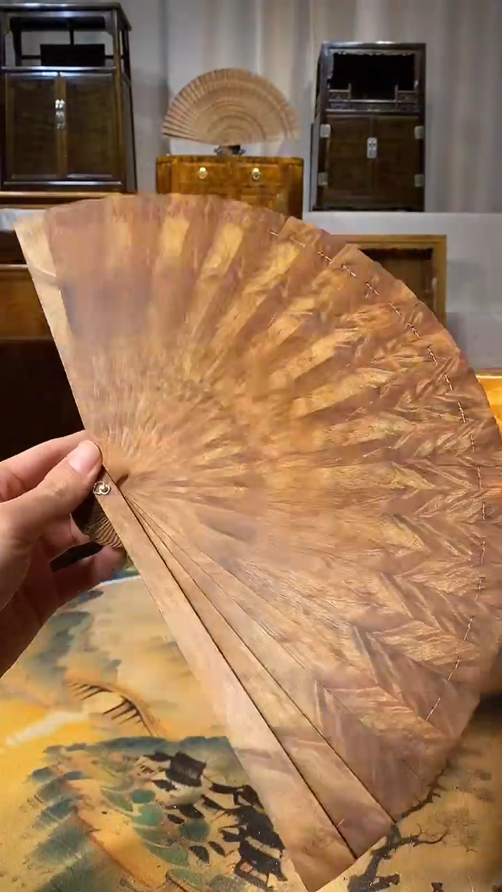 扇子金丝楠小叶桢楠苏扇9