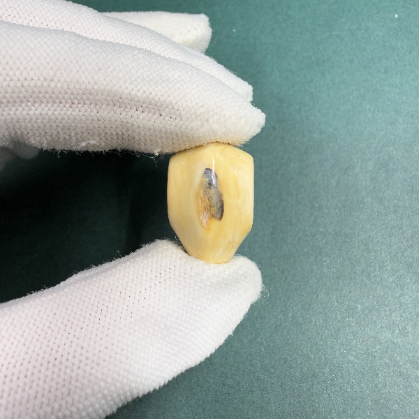 H5697天然猛犸牙鲨鱼背蓝眼三通配饰 支持鉴定 假一罚四