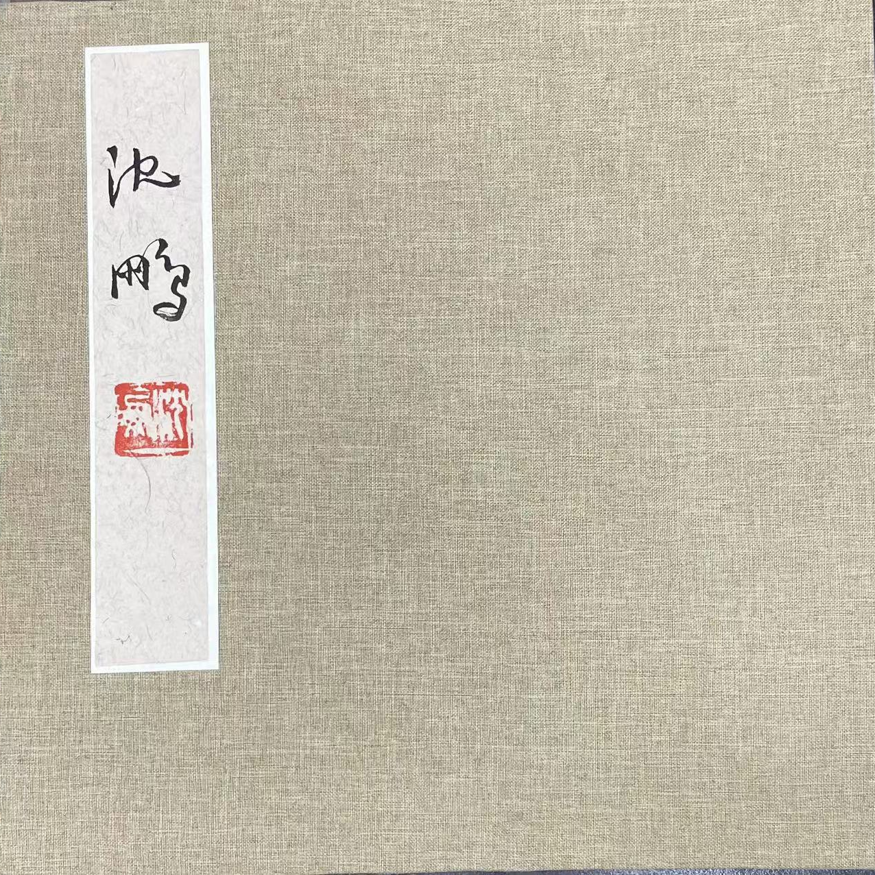 沈鹏十开册页 32*32cm