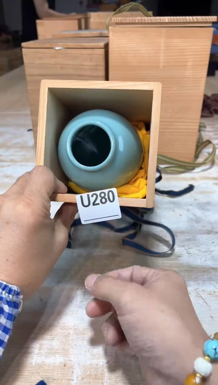 游*直播定闪专用链接123