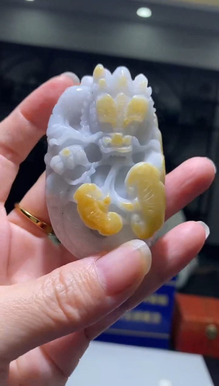 【闪购商品】翡翠颈饰未镶嵌B-@@YQYC0205015