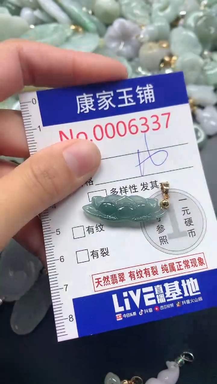 吊坠(不含链)未镶嵌翡翠6337