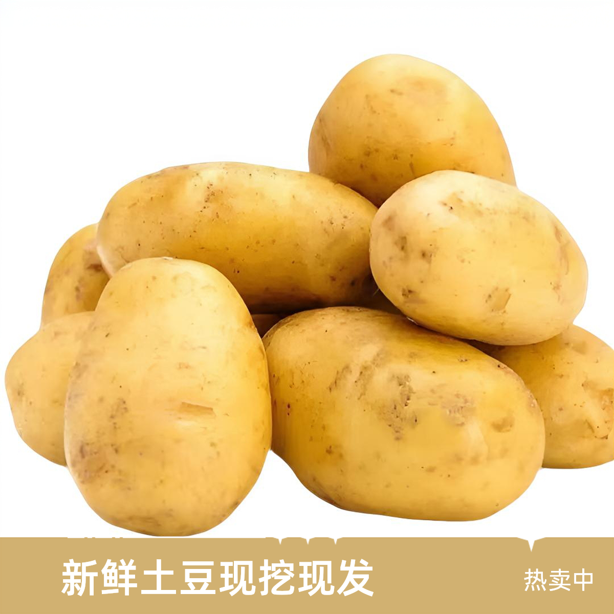 博士农场新鲜土豆 1500g送4枚纯散养柴鸡蛋