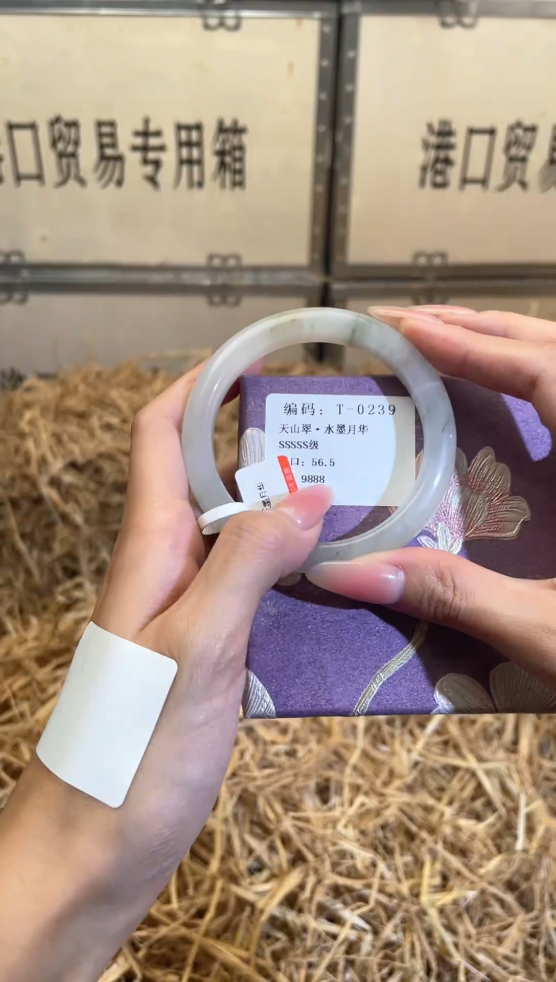 未镶嵌手镯石英质玉T0239