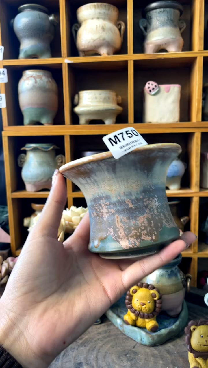 s***e750【多肉花盆多肉盆】