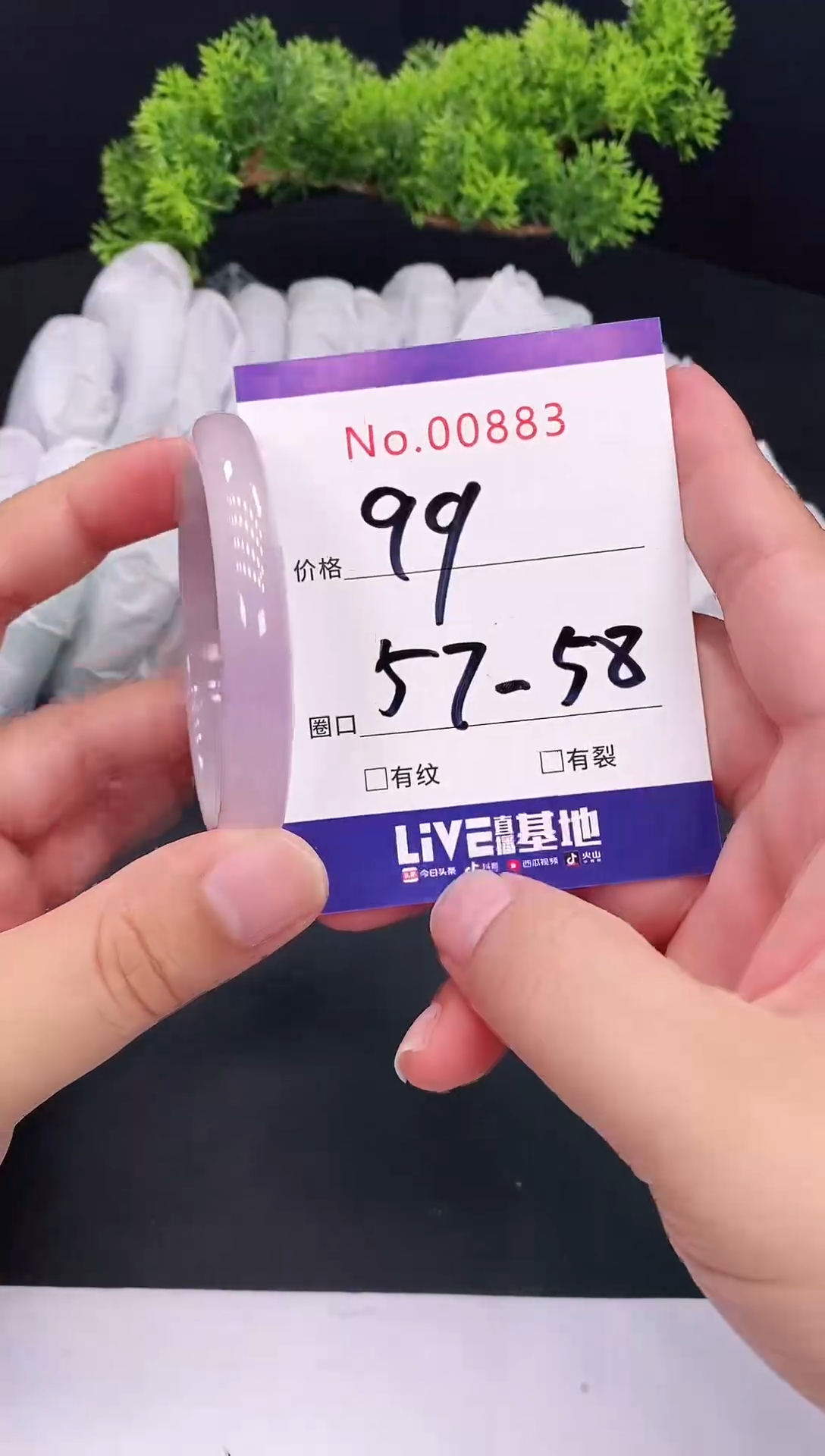 未镶嵌手镯翡翠0883