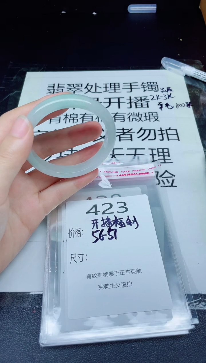 未镶嵌手镯翡翠423