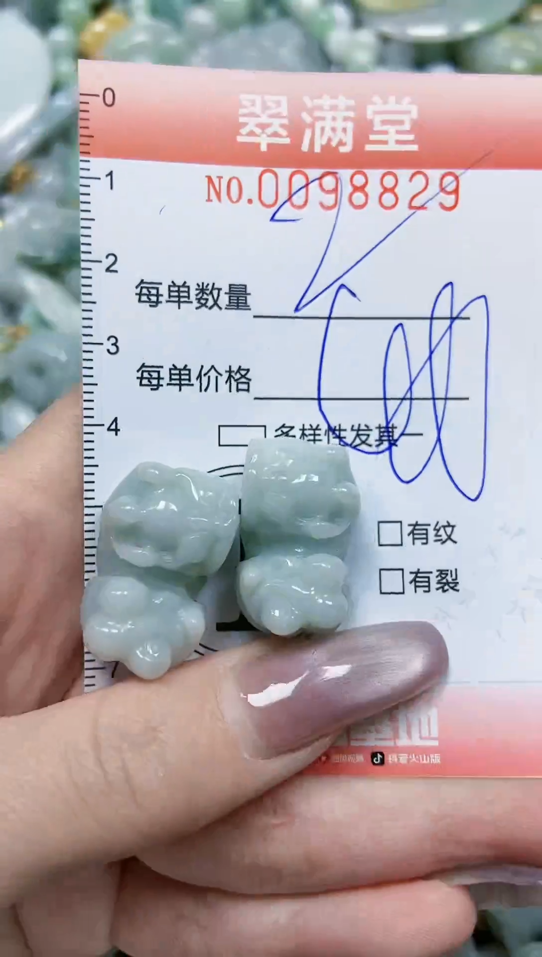 【闪购商品】翡翠颈饰未镶嵌闪购0098829