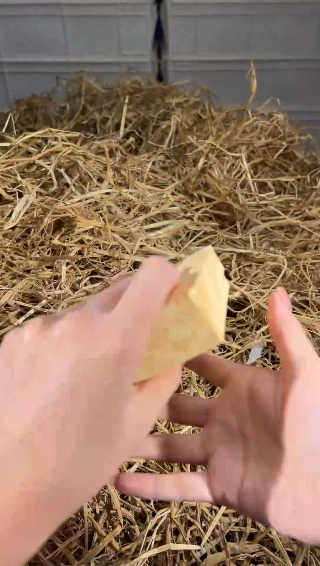 未镶嵌手镯石英质玉D3018