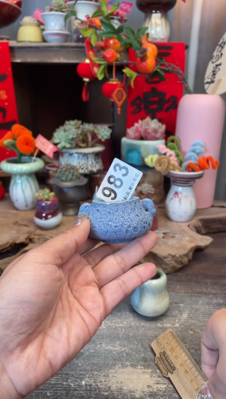 【闪购商品】摆件983知木小芳花盆