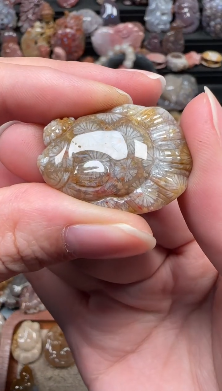 颈饰未镶嵌硅化珊瑚（珊瑚玉）185