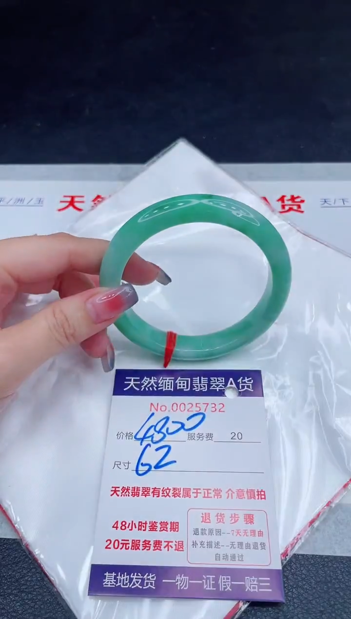 未镶嵌手镯翡翠4800