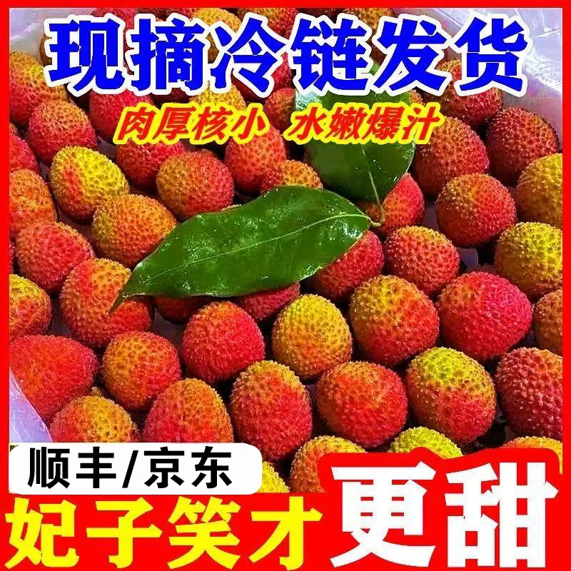 【顺丰包邮】妃子笑荔枝当季新鲜水果现摘先发核小多汁香甜LF