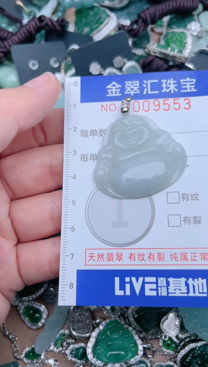 【闪购商品】翡翠颈饰未镶嵌9553...1