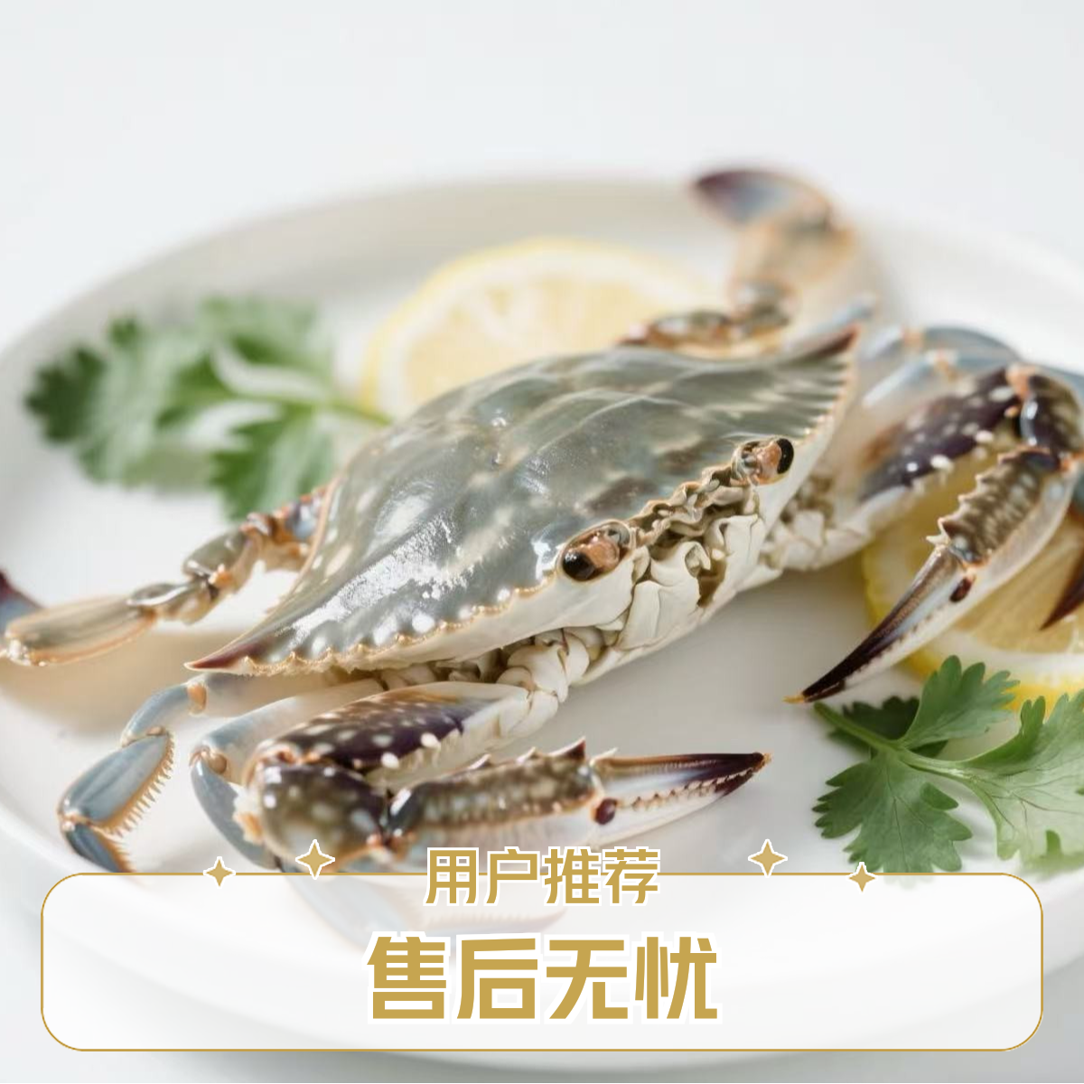 鲜活发货/【保鲜不保活】/舟山/中国/海蟹（梭子蟹) 3斤装/3-5两/6-10只左右