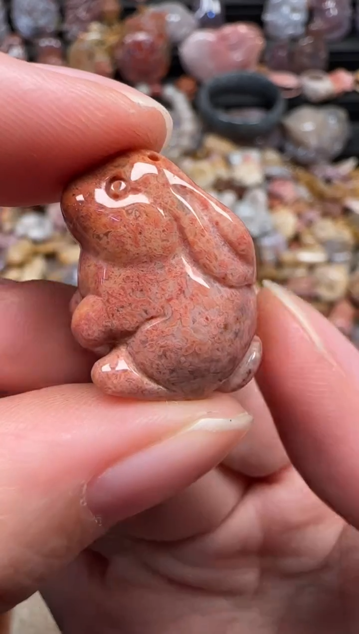 颈饰未镶嵌硅化珊瑚（珊瑚玉）260