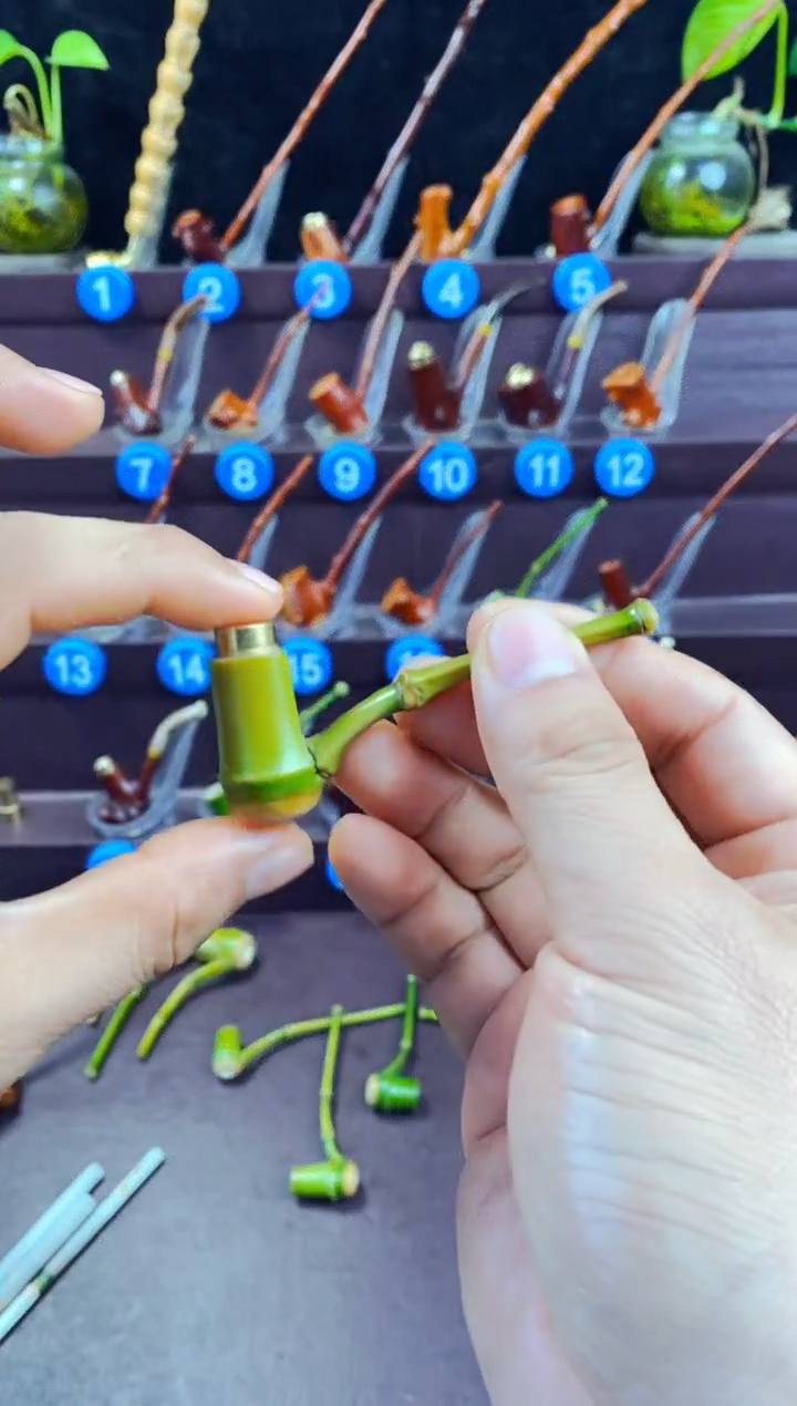 木新**✔檬子木的精品小斗