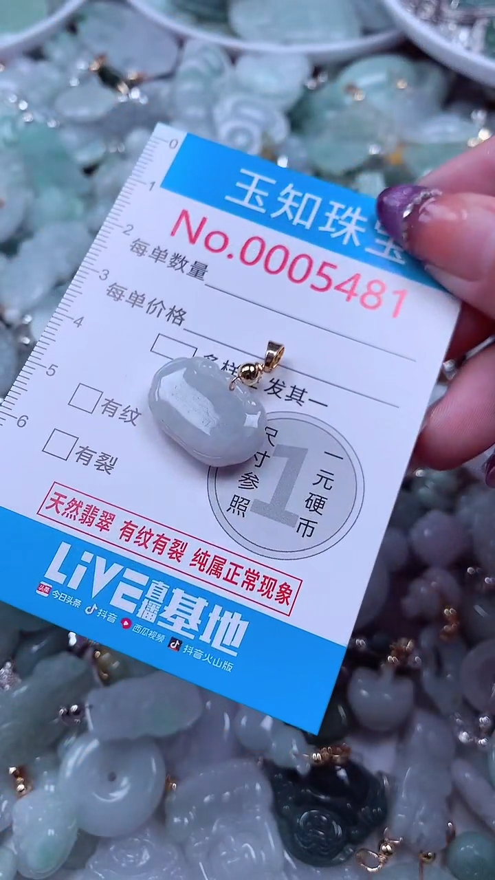 翡翠未镶嵌吊坠(不含链)5481