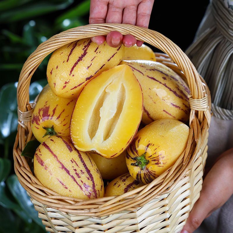 乡隆甘肃民勤沙漠人参果带箱5斤单果150+ 8-15个低糖清甜多汁微甜