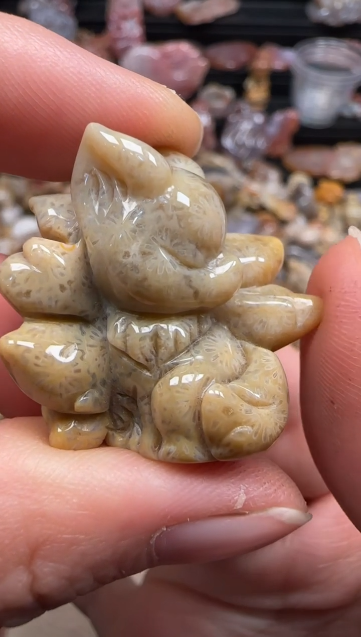 【闪购商品】硅化珊瑚（珊瑚玉）颈饰未镶嵌185