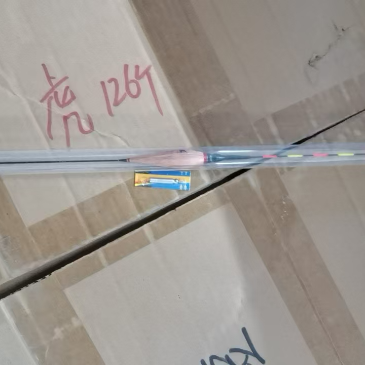 芦苇电子漂一个随机发{带电池}