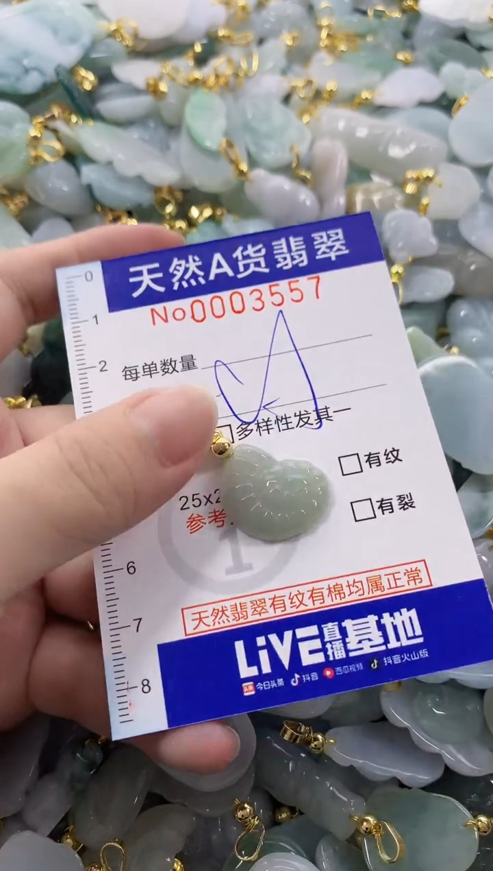 颈饰未镶嵌翡翠天然A货翡翠