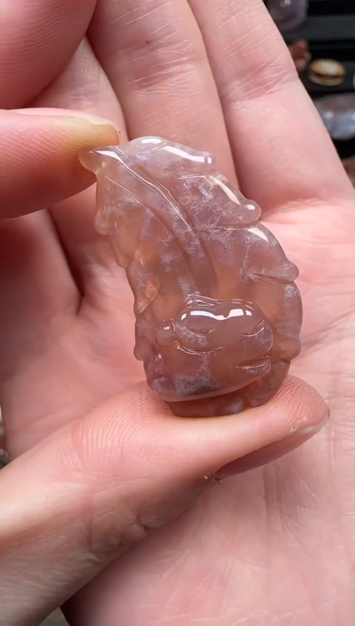 颈饰未镶嵌硅化珊瑚（珊瑚玉）132