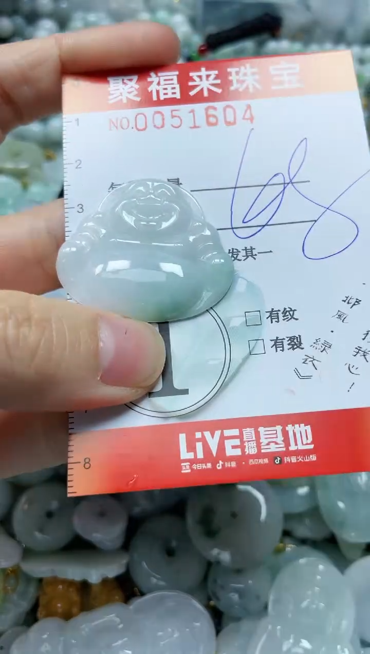 【闪购商品】翡翠颈饰未镶嵌闪购0051604