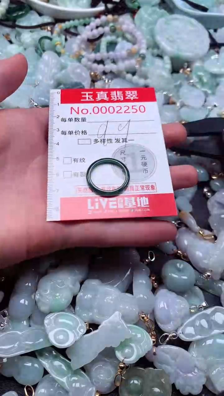 颈饰未镶嵌翡翠2250