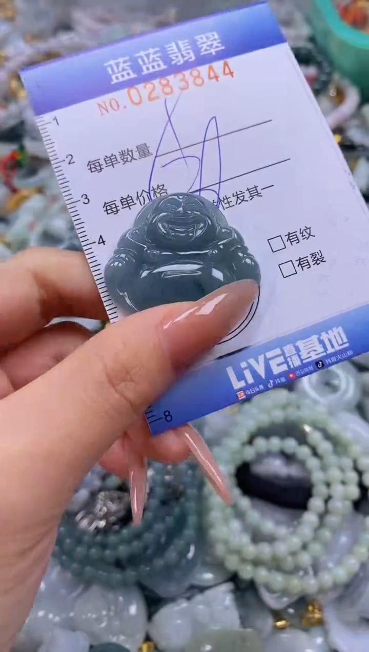 翡翠未镶嵌颈饰闪购0283844多样性发其一