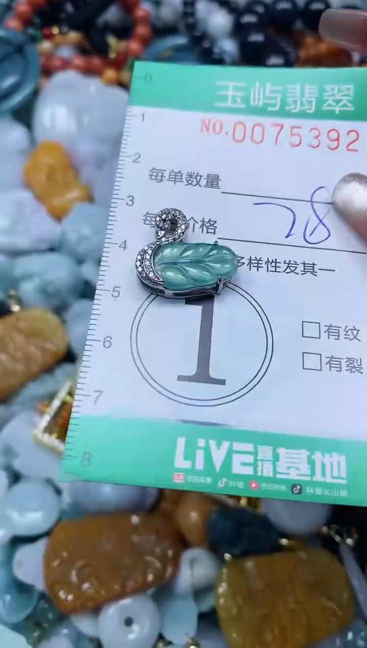 【闪购商品】翡翠颈饰未镶嵌闪购0075392