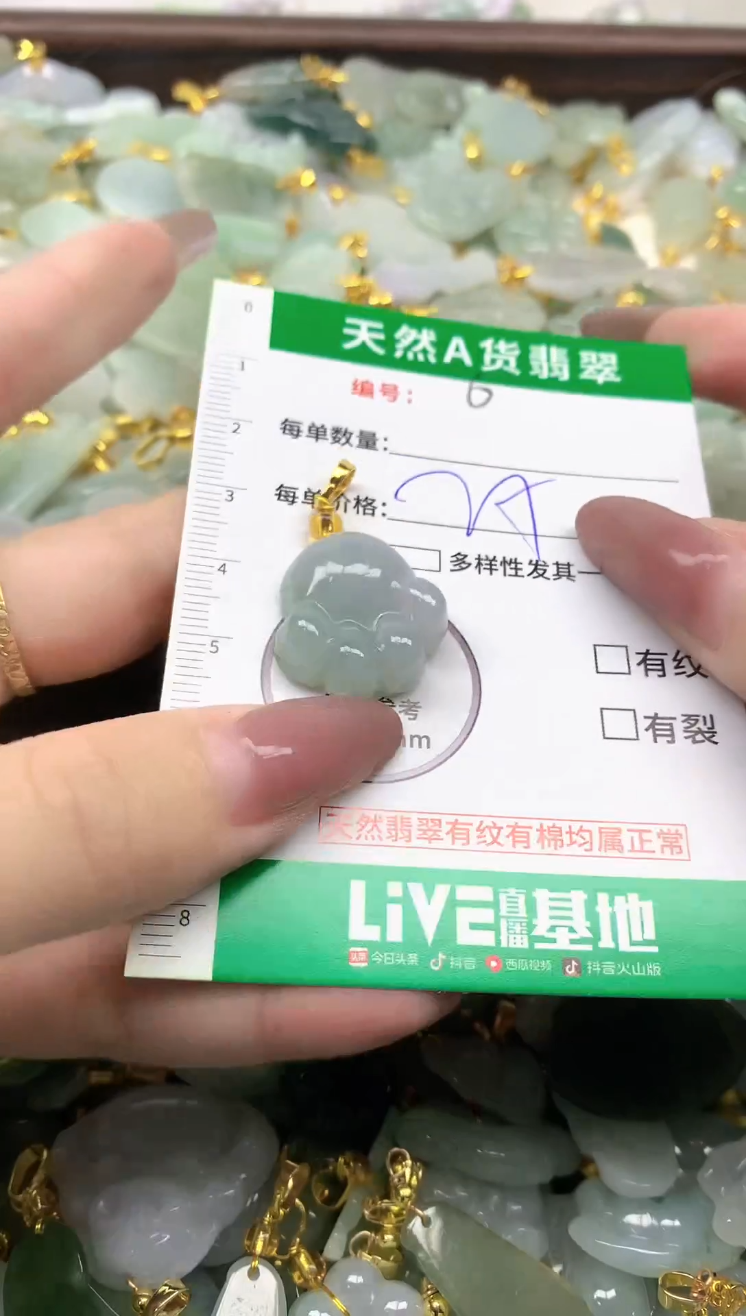 颈饰未镶嵌翡翠纯天然缅甸A货翡翠-6