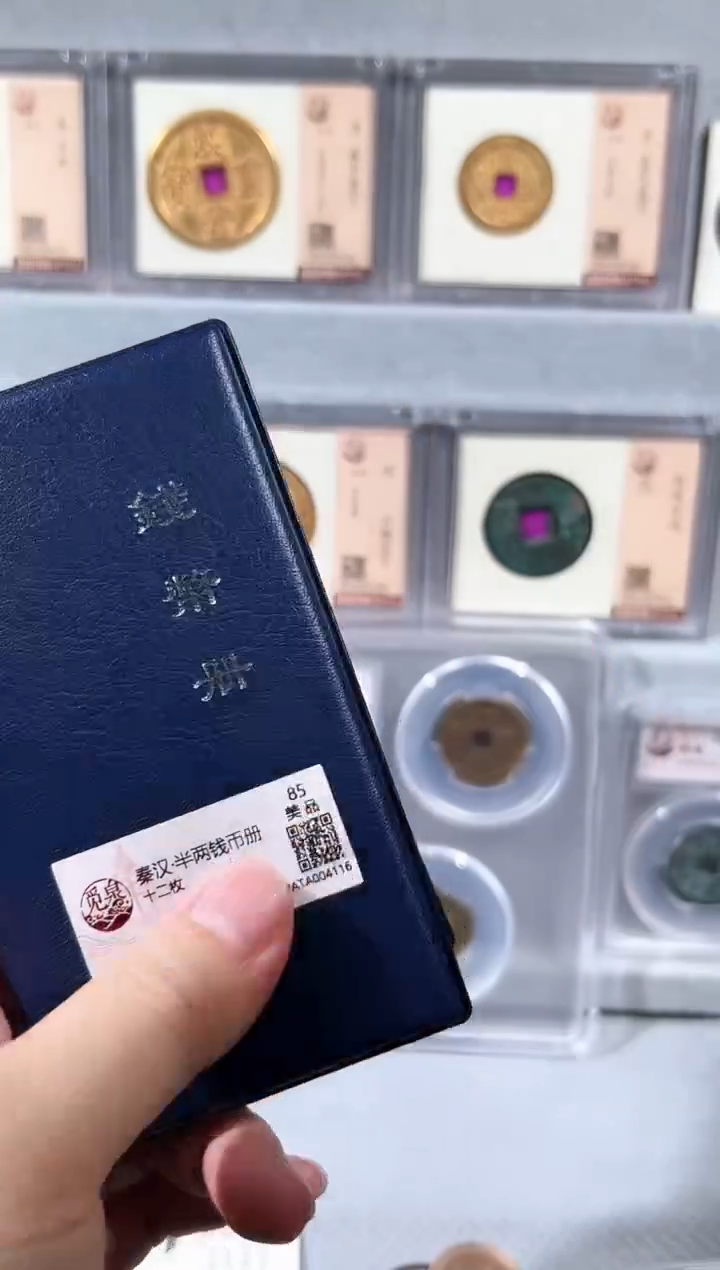 铜带评级半钱币册共12枚
