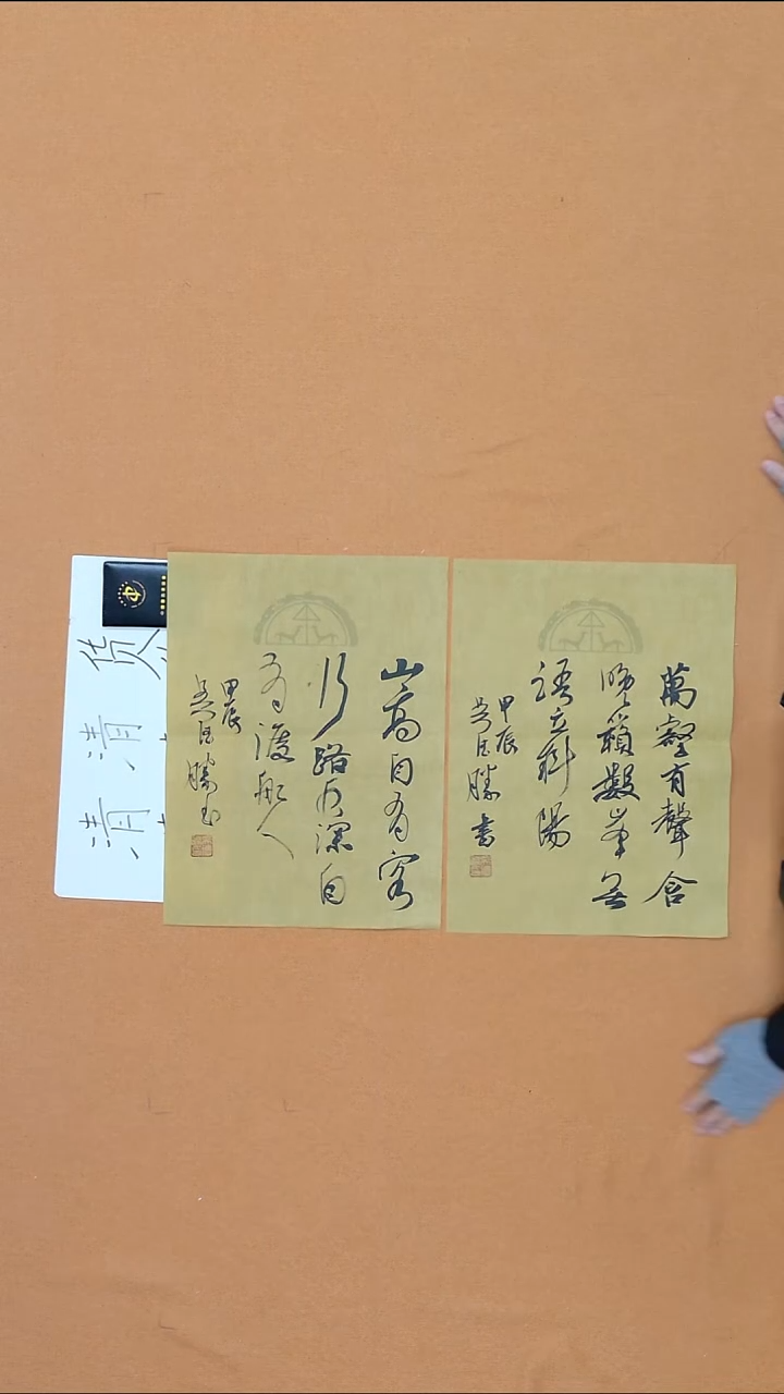 书法吴德胜  江西理S   兰亭  45*35*2