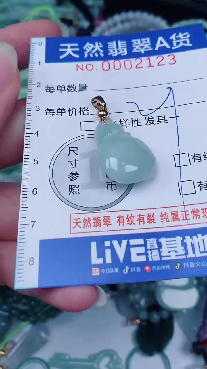 翡翠未镶嵌颈饰00002123