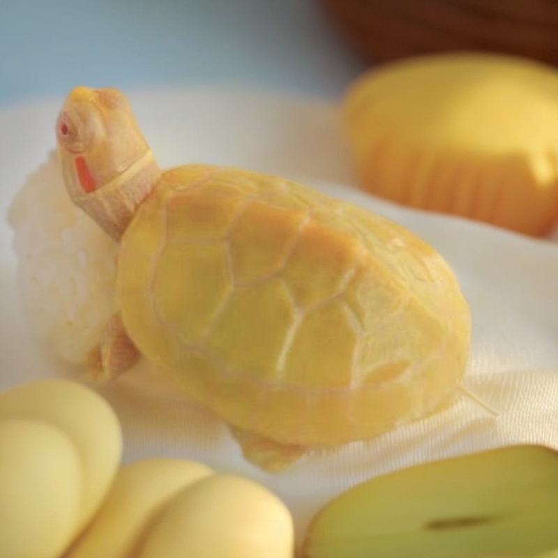 乌龟零下地区保温箱加热包（不拍不发货）