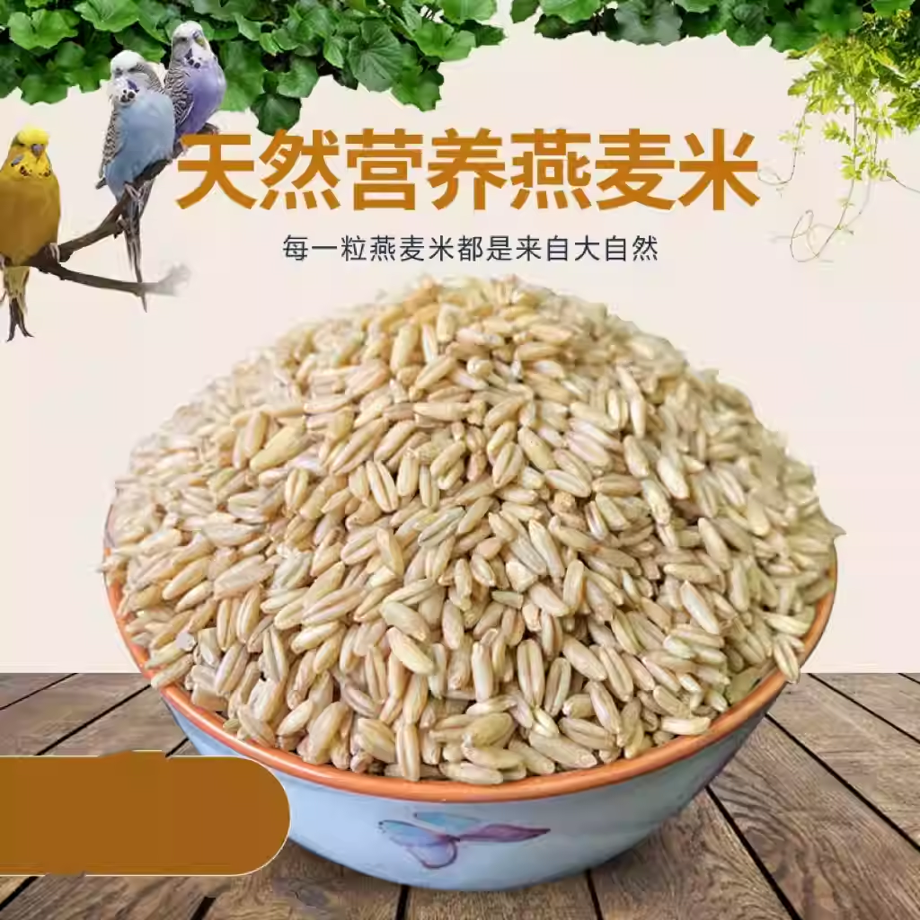 燕麦米鹦鹉粮玄凤小太阳专用燕麦鸟粮饲料和尚鹦鹉燕麦鹦鹉鸟粮