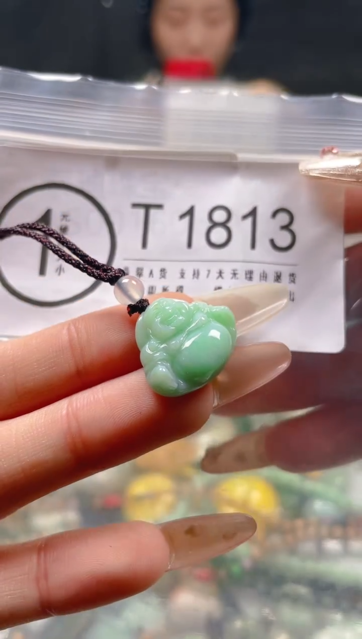 【闪购商品】翡翠颈饰未镶嵌/T/翡翠A货一图一物