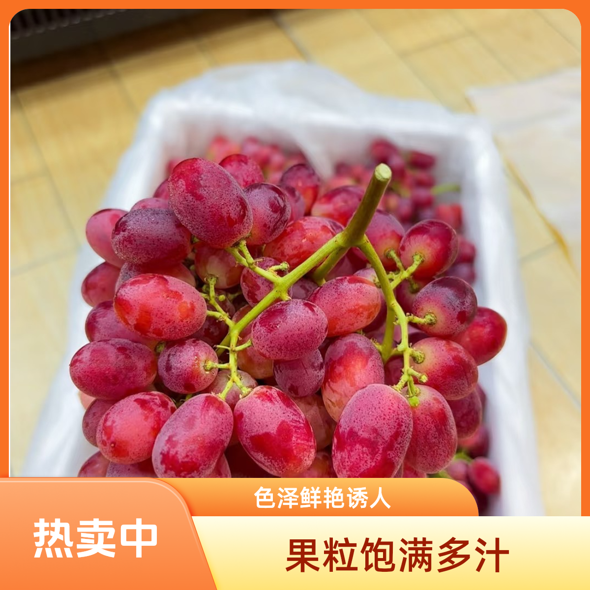 新疆克伦生无籽红提上海市