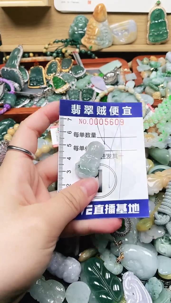 【闪购商品】翡翠颈饰未镶嵌闪购0005609